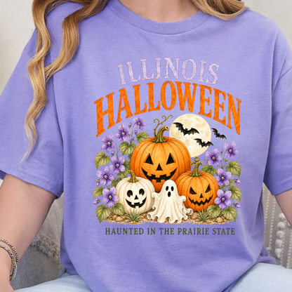 Illinois Halloween Pumpkin Purple Tshirt - Adult or youth